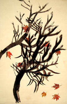 autumn maple left
